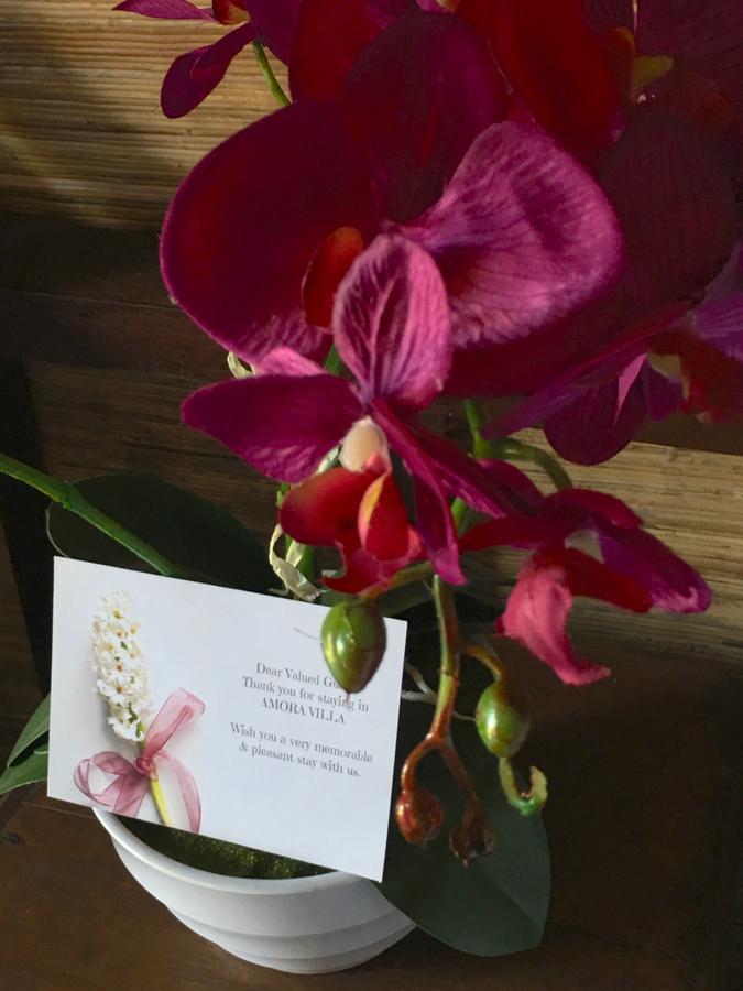 Amora Villa Τζίλι Τραγουανγκάν Εξωτερικό φωτογραφία